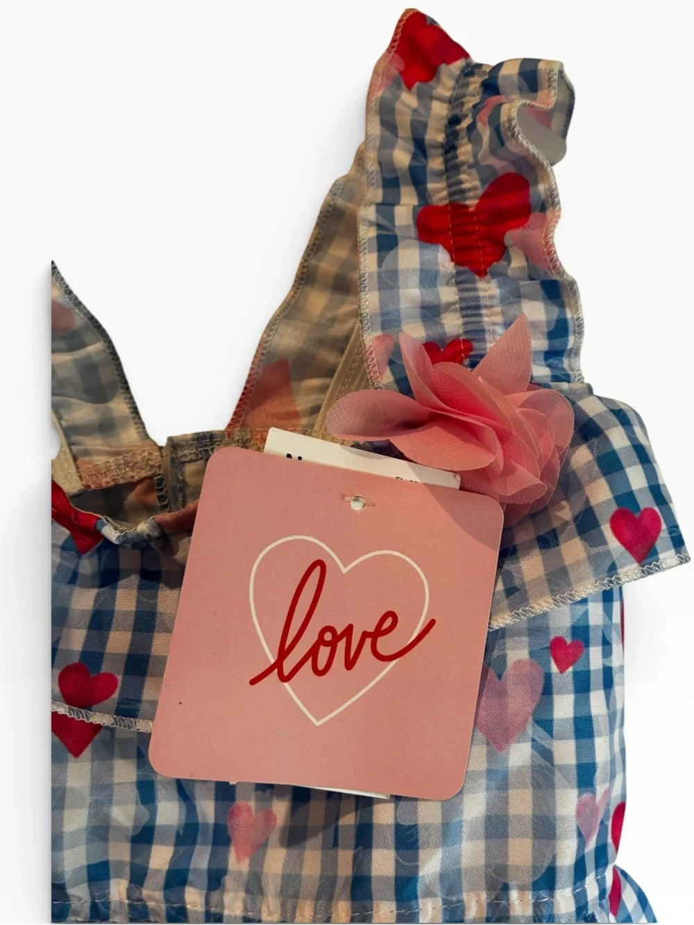 Love Brand Blue Gingham Dog Dress with Red Heart Print